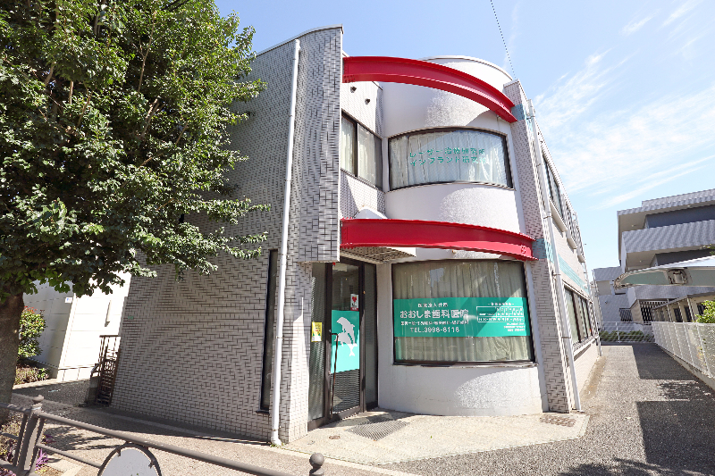 光が丘 練馬高野台 歯医者 歯科 おおしま歯科医院 虫歯 歯周病 口腔外科 親知らず 入れ歯 審美歯科 セレック 小児歯科